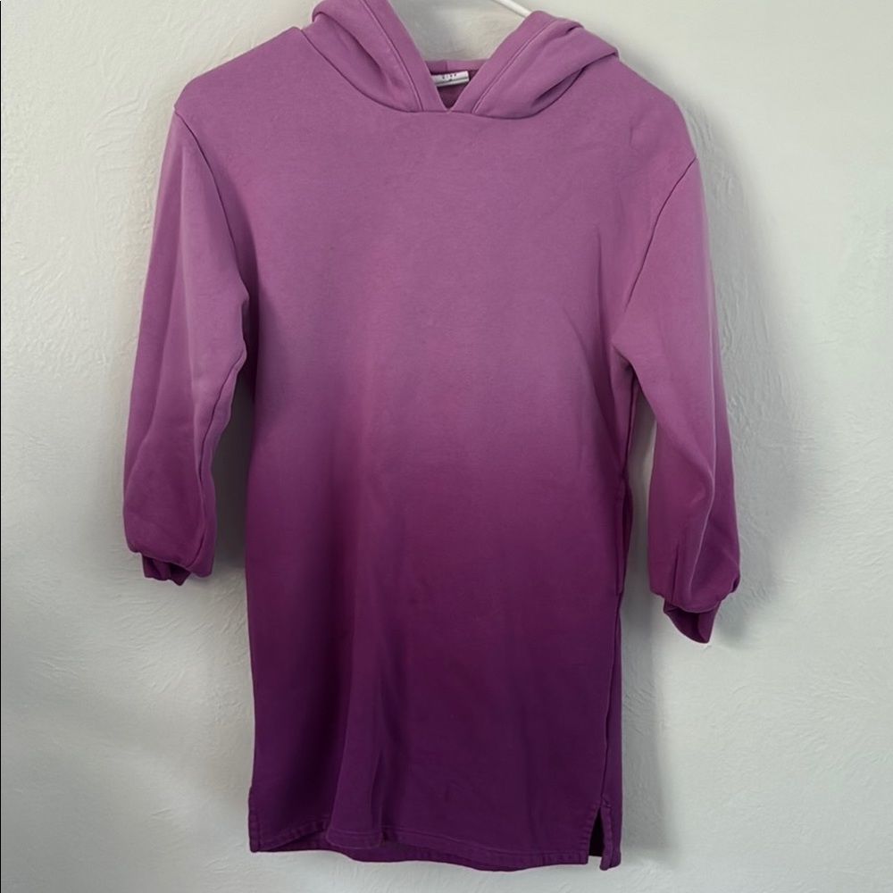 GAP Purple Ombre Hooded Sweatshirt